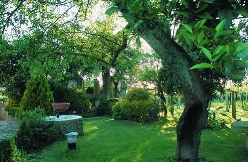 Pazo Carrasqueira Otel Castrelo  Dış mekan fotoğraf